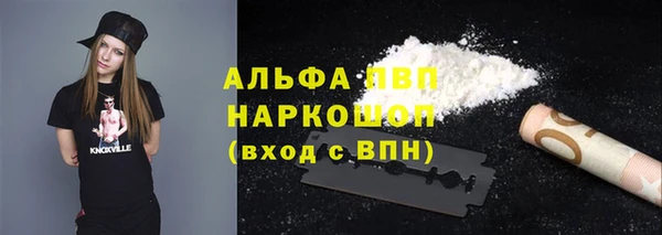 ПСИЛОЦИБИНОВЫЕ ГРИБЫ Няндома