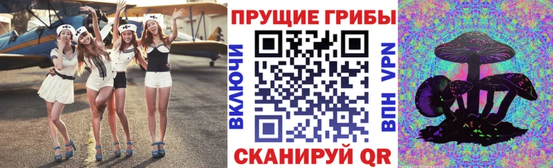 магазин наркотиков Катайск Псилоцибиновые грибы Psilocybe
